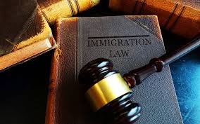 immigration law asylum