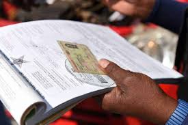 free asylum assessment