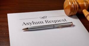 asylum documents 