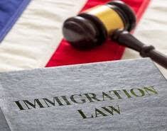 free asylum consultation